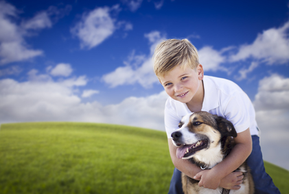 Post image for Top Seven Summertime Dangers for Dogs