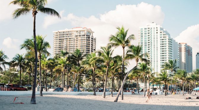 A sunny palm beach in Miami, with residential buildings in the backdrop